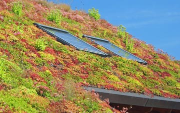 Blakeley Lane living roof systems